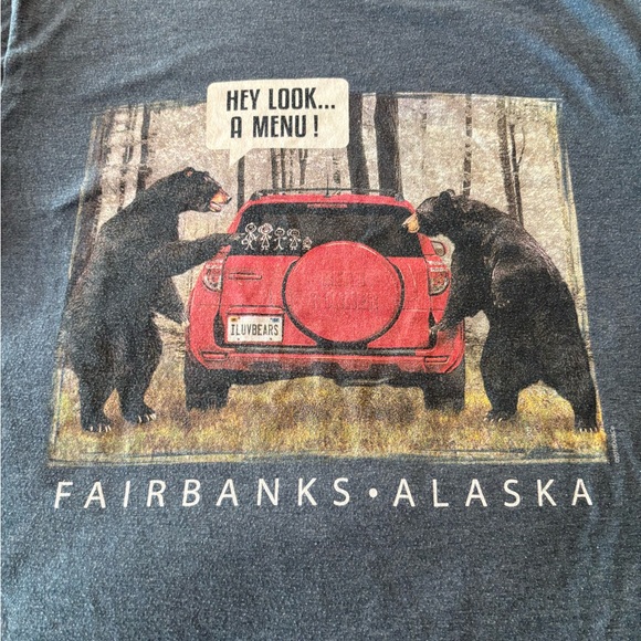 Fairbanks Alaska Graphic Tee - Blue Gray - Picture 2 of 4